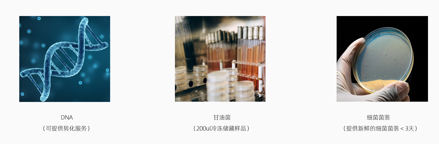 Fraserna Global - 主页